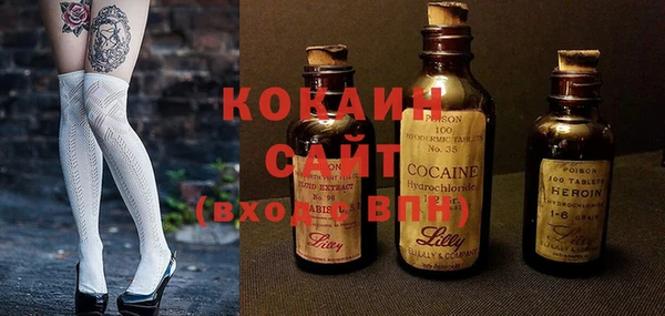 индика Баксан