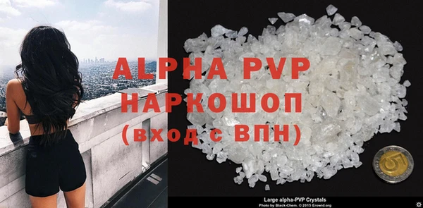 индика Баксан