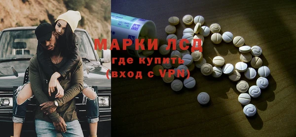 индика Баксан