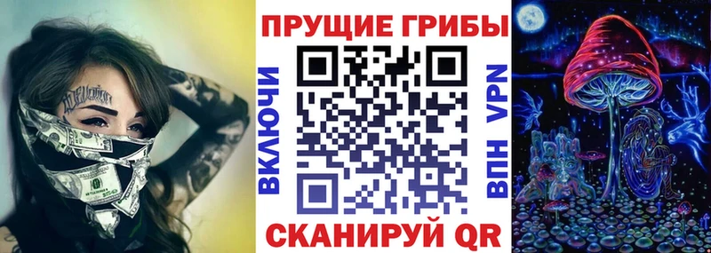 продажа наркотиков  Бокситогорск  Псилоцибиновые грибы GOLDEN TEACHER 